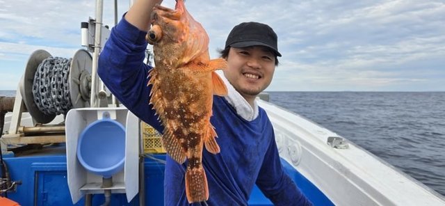 ウッカリカサゴ