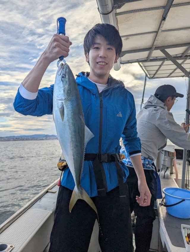 ハマチ(ブリ)