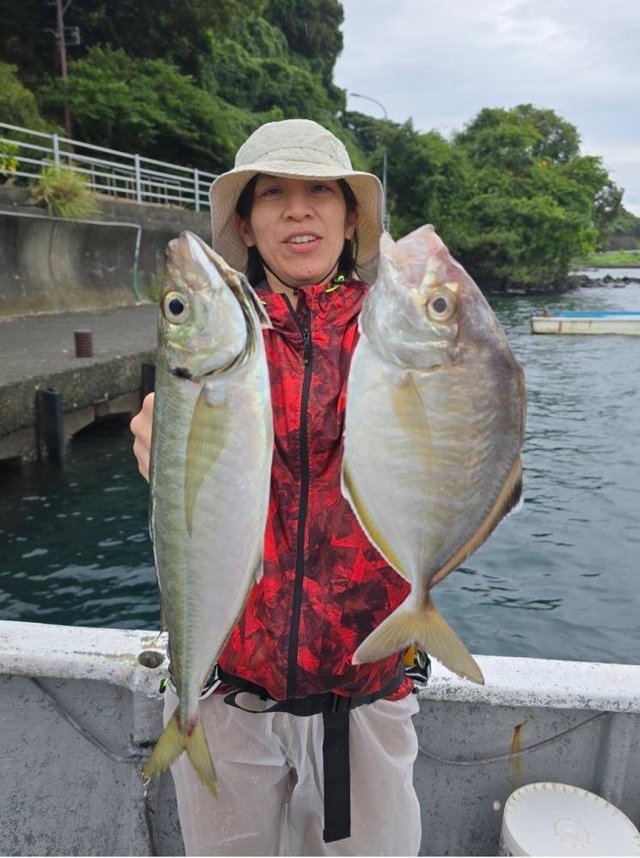 アジ(マアジ)・カイワリ