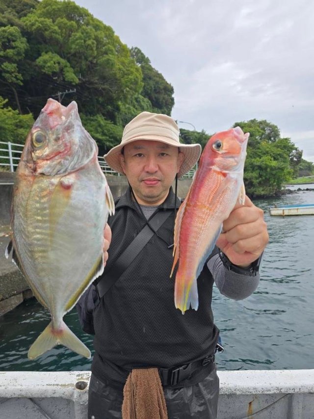 カイワリ・アマダイ(アカアマダイ)
