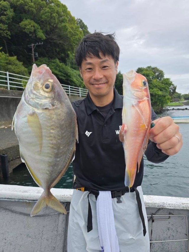 カイワリ・アマダイ(アカアマダイ)