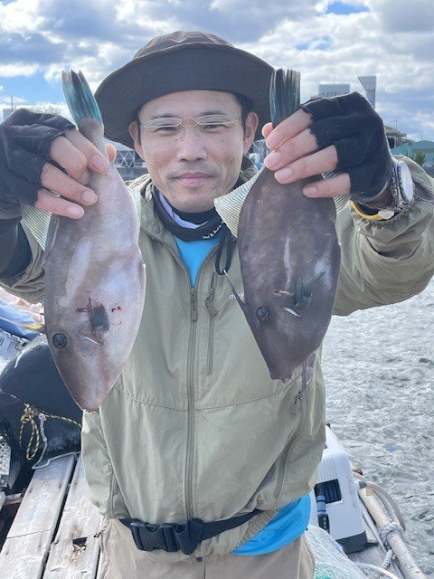 広島県で釣れたウマヅラハギの最新釣果、釣り情報【2026年9月】