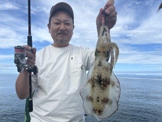 アオリイカ