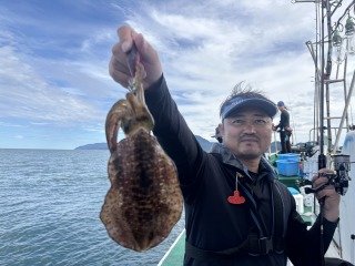 アオリイカ