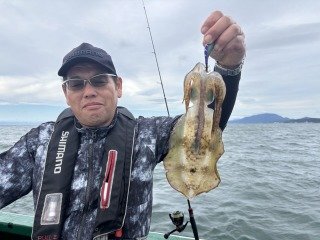 アオリイカ