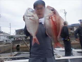 タイ(マダイ)