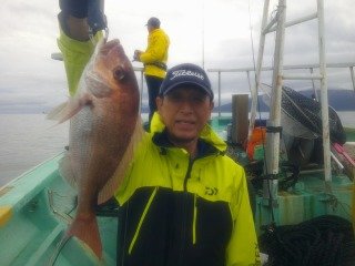 マダイ