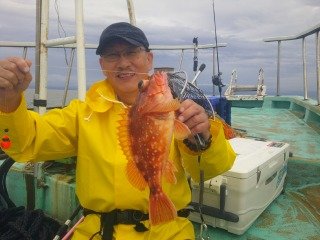 カサゴ