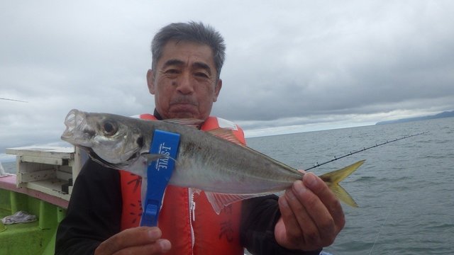アジ(マアジ)