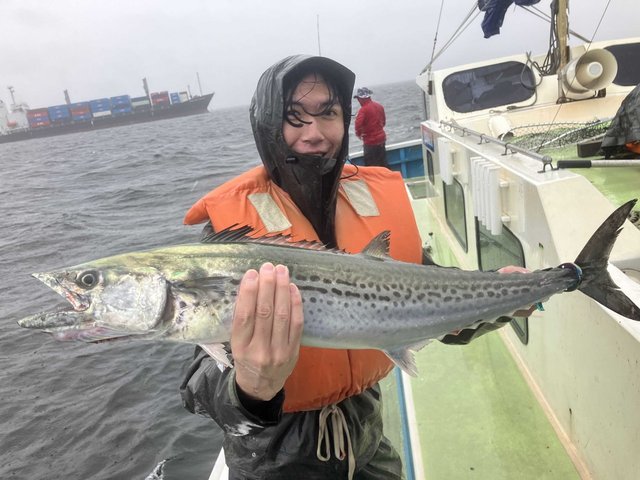 サワラ