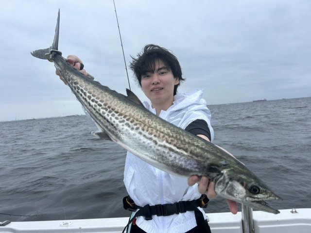 サワラ