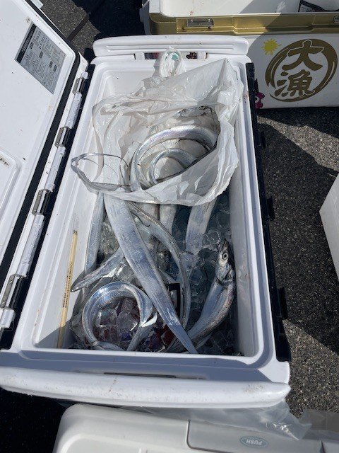 タチウオ