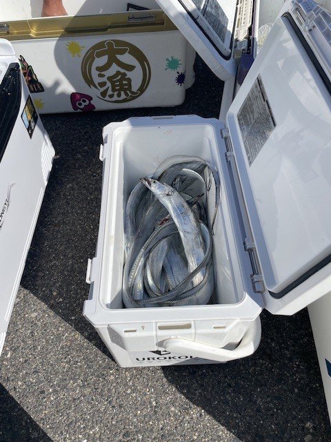 タチウオ