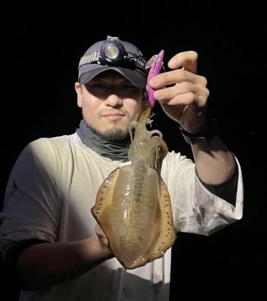 アオリイカ