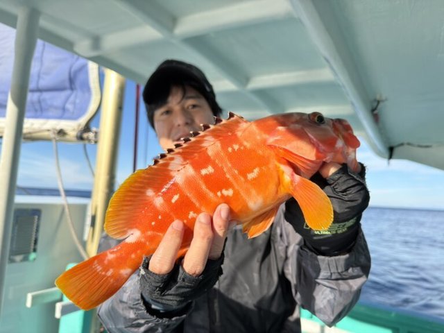アカハタ