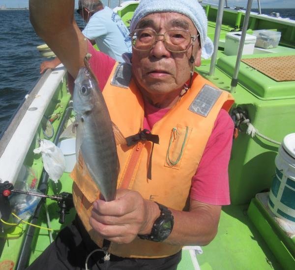 アジ(マアジ)