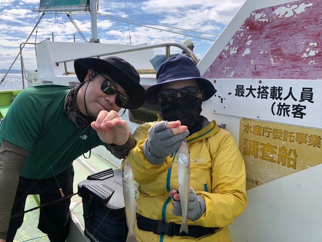 シロギス