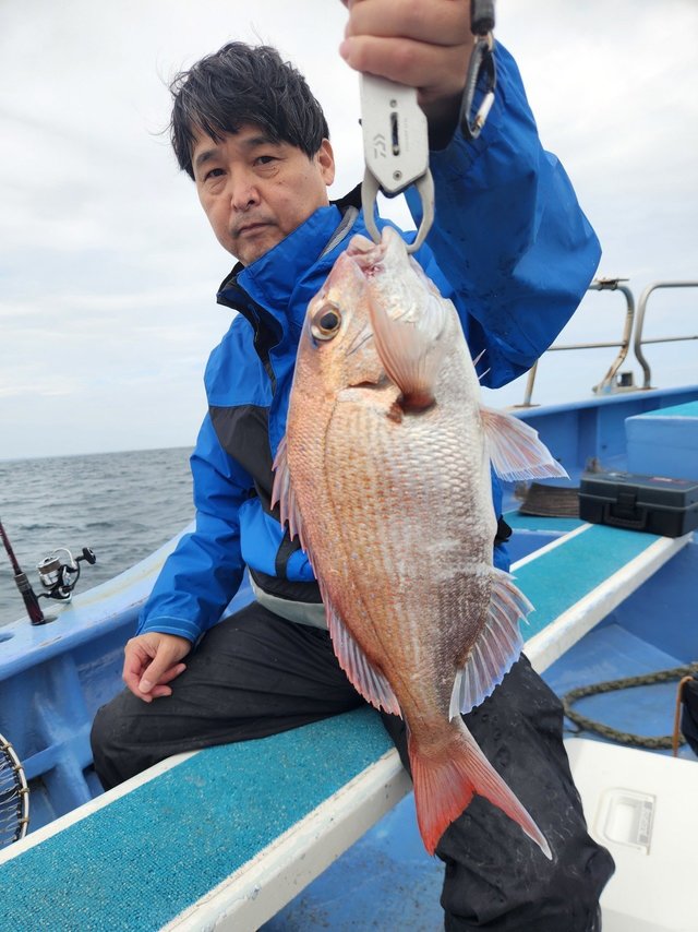 マダイ