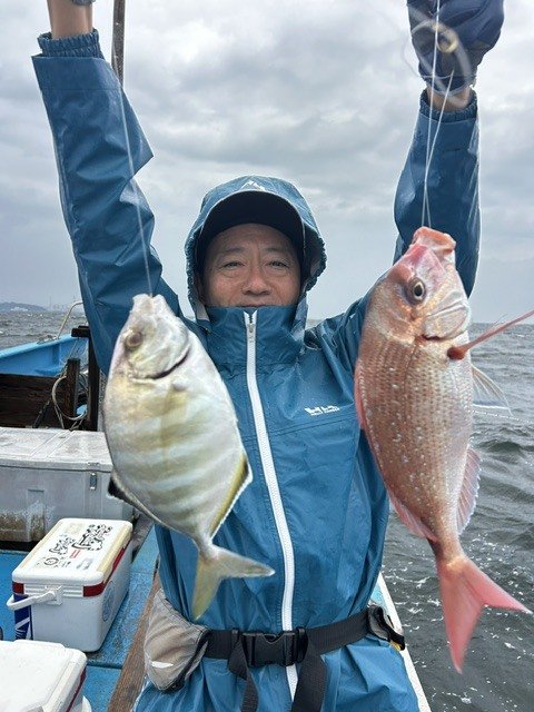 マダイ・カイワリ