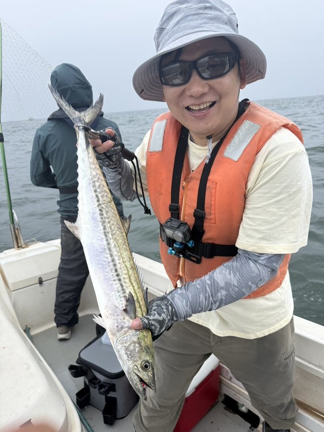 サワラ