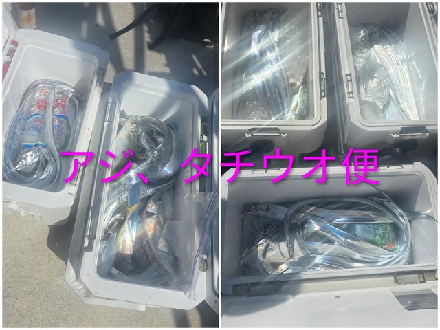 タチウオ