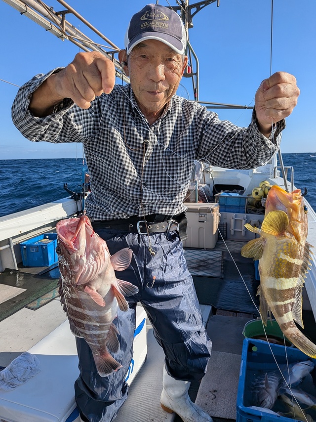 アオナ(アオハタ)