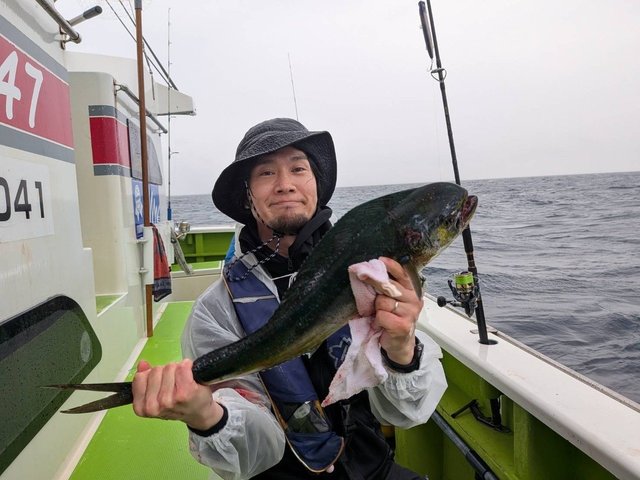 シイラ