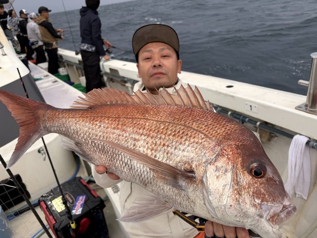 マダイ