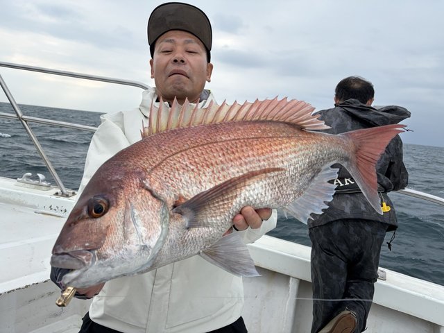 マダイ