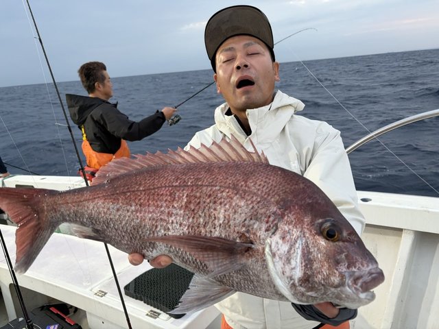 マダイ