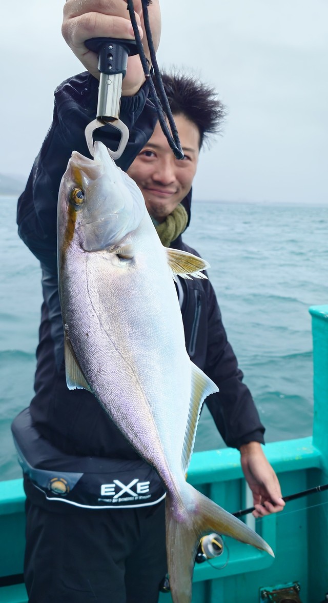 ショゴ(カンパチ)