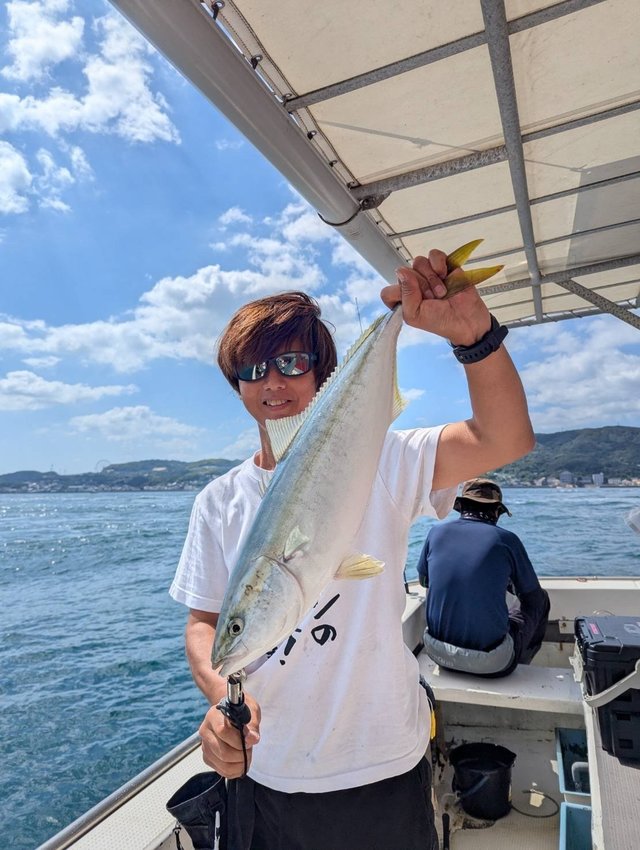 メジロ(ブリ)