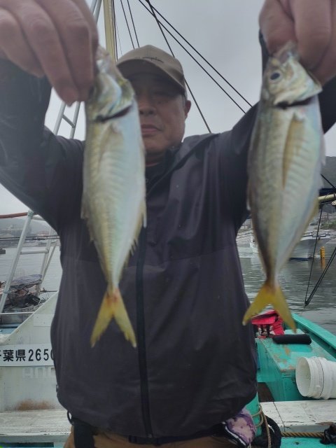 アジ(マアジ)