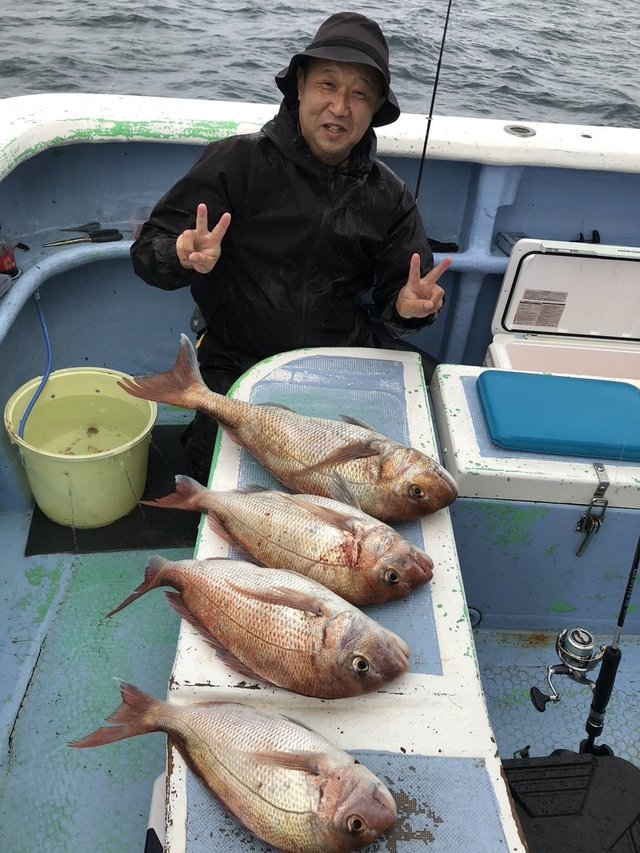 マダイ