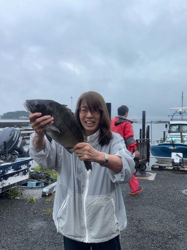 クロダイ