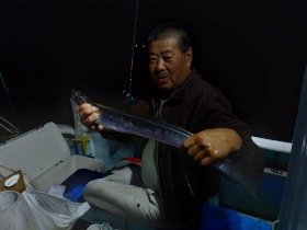 タチウオ