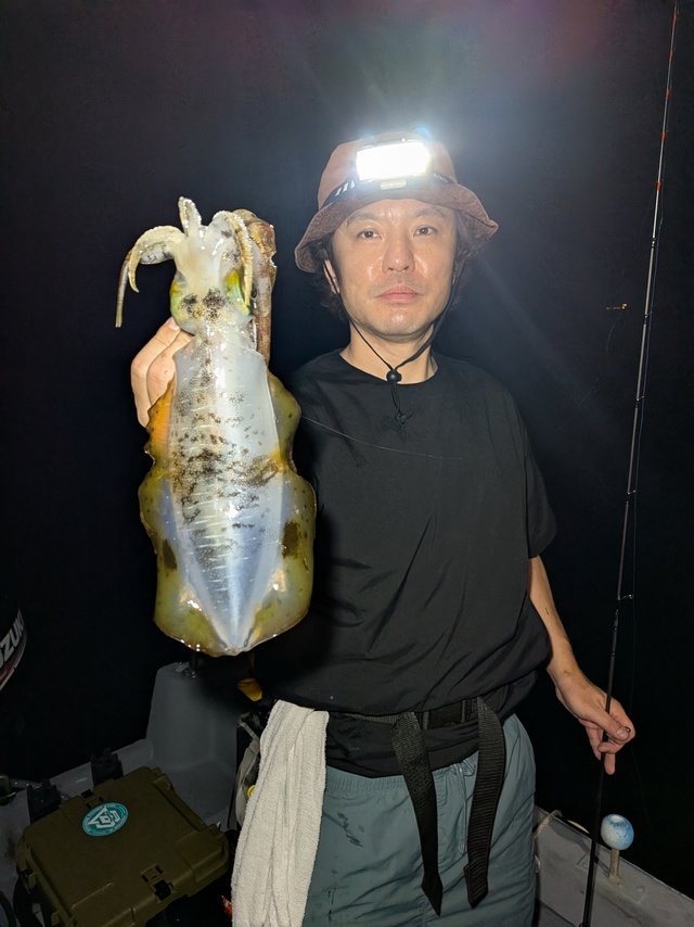 アオリイカ