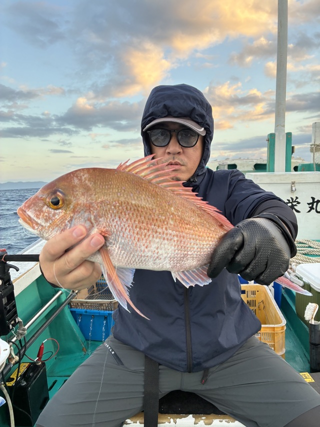マダイ