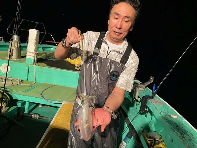 アオリイカ