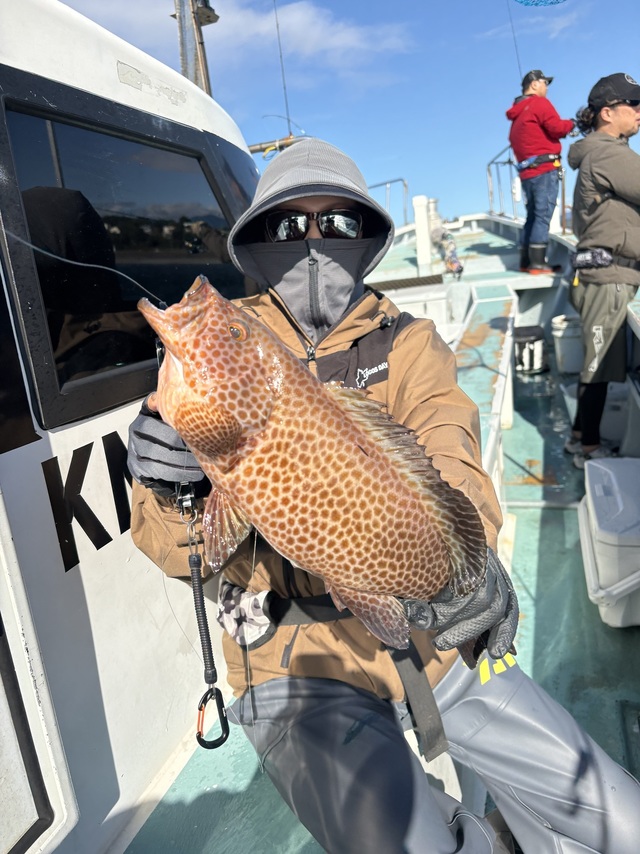 オオモンハタ