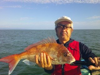 マダイ