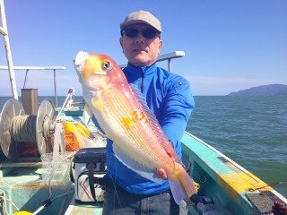 アマダイ(アカアマダイ)