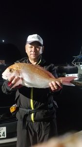 マダイ