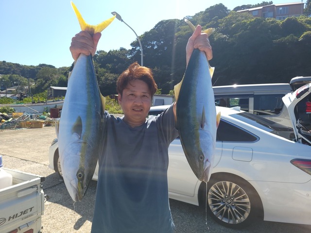 ワラサ(ブリ)