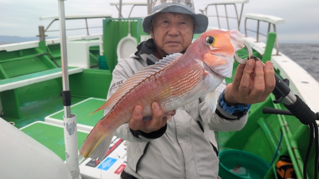 アマダイ(アカアマダイ)