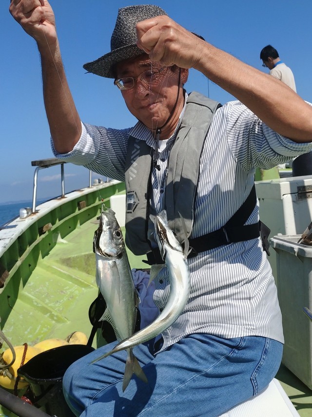 アジ(マアジ)