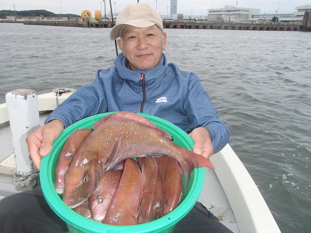 マダイ