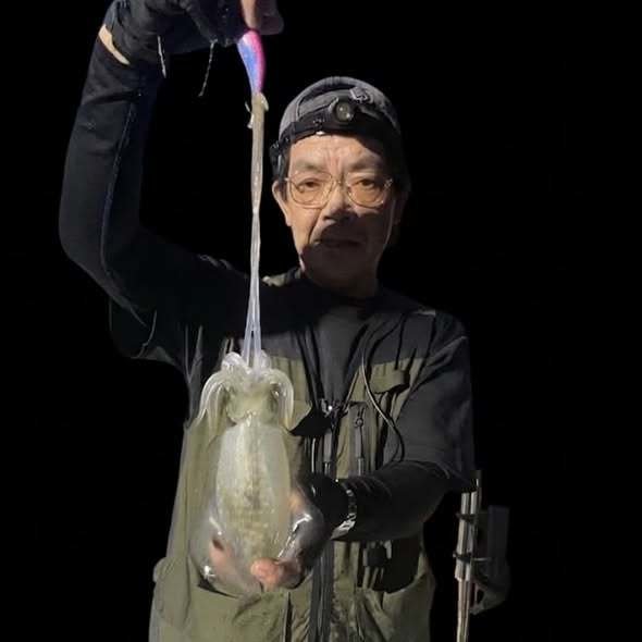 アオリイカ