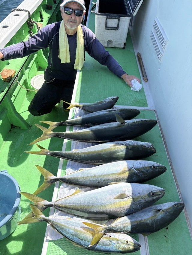 アジ(マアジ)・イナダ(ブリ)・ワラサ(ブリ)