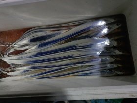 タチウオ